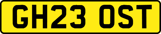 GH23OST