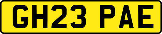 GH23PAE