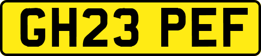 GH23PEF