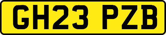 GH23PZB