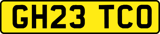 GH23TCO
