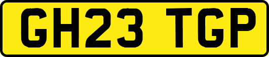 GH23TGP