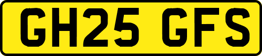 GH25GFS