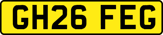GH26FEG