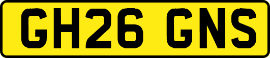 GH26GNS