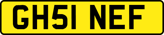 GH51NEF