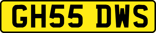 GH55DWS