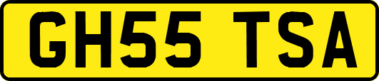 GH55TSA