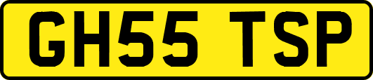 GH55TSP