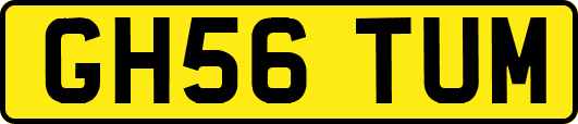 GH56TUM