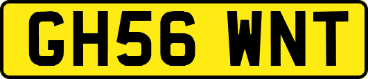 GH56WNT