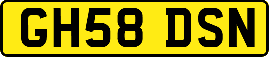 GH58DSN