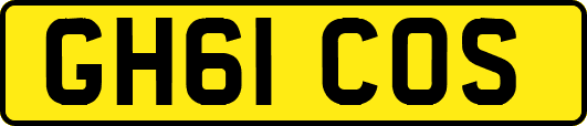 GH61COS