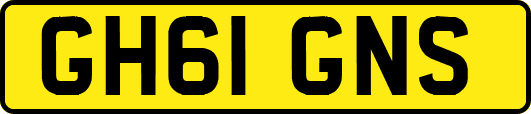 GH61GNS