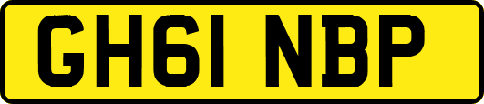 GH61NBP