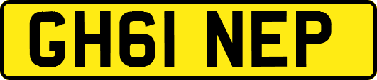 GH61NEP