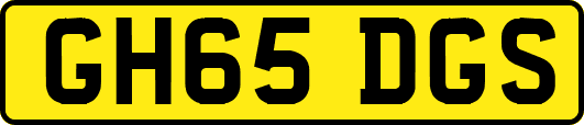 GH65DGS