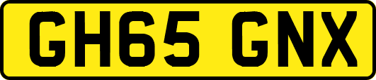 GH65GNX