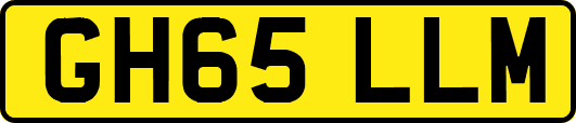 GH65LLM