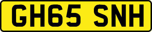 GH65SNH