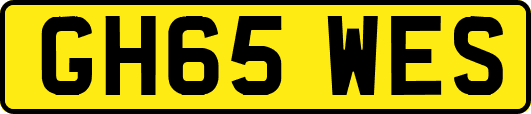 GH65WES