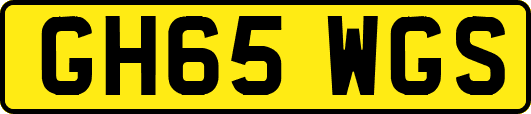 GH65WGS