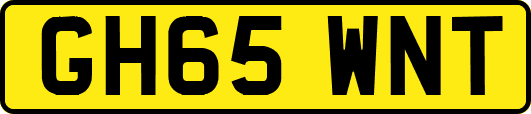 GH65WNT