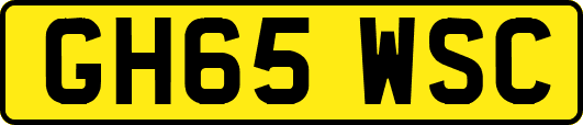GH65WSC