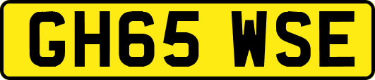 GH65WSE