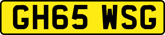 GH65WSG
