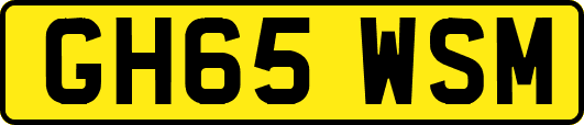 GH65WSM
