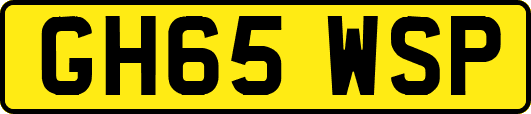 GH65WSP