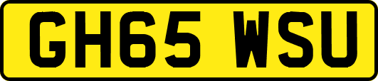 GH65WSU