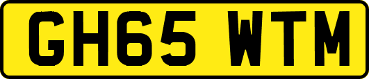 GH65WTM