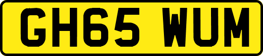 GH65WUM
