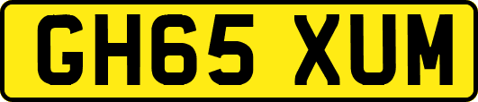 GH65XUM