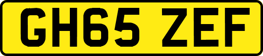 GH65ZEF