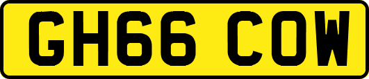 GH66COW
