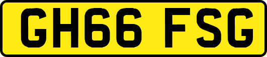 GH66FSG