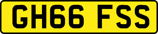 GH66FSS