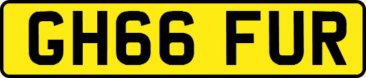 GH66FUR