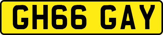 GH66GAY