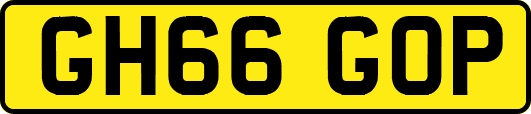 GH66GOP