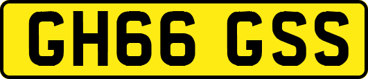 GH66GSS