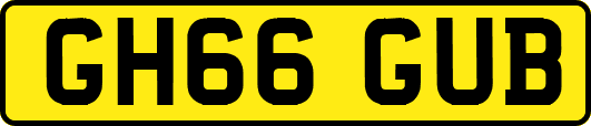 GH66GUB
