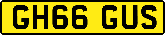 GH66GUS