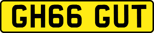 GH66GUT