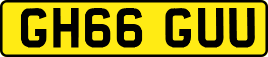 GH66GUU
