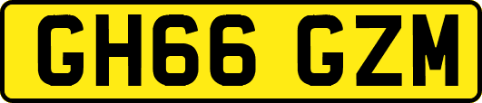GH66GZM