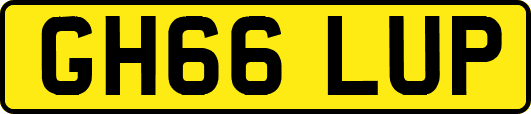 GH66LUP